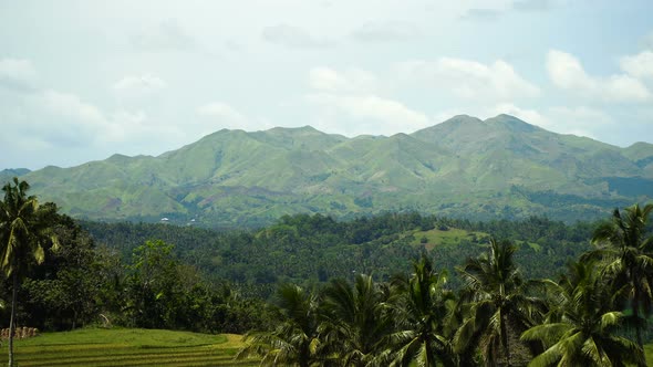 Mountains with Tropical Forest. Philippines Bohol Island