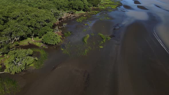 Aerial of green nature and sand banks by Rio de La Plata, slow tilt up