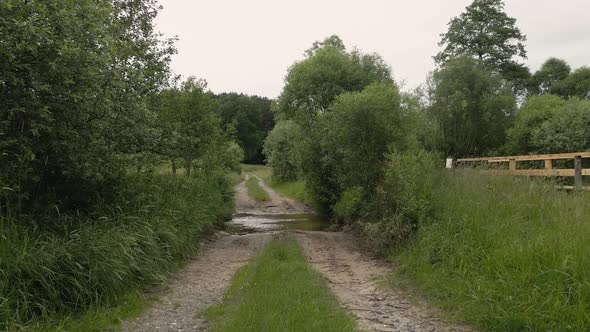 Flight over the river towards the forest