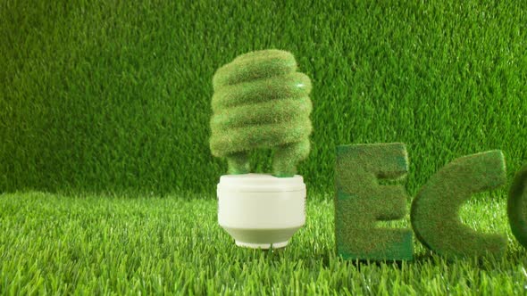 Eco Light Bulb in Green Grass