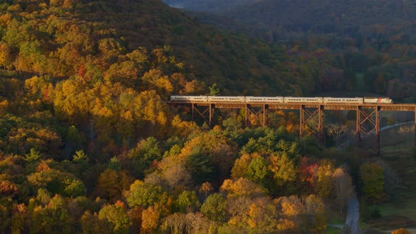 Aerial of train passing over railroad bridge through autumn forest