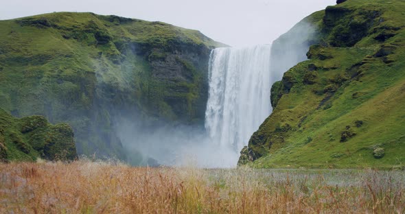 Iceland Skogafoss Waterfall with Foliage Field in Foreground