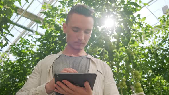 Young Man Using or Playing Tablet in Greenhouse. Green Plant Growing in Warm House.