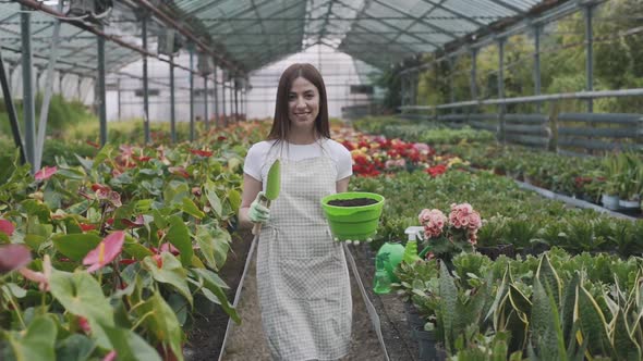 Beautiful female florist transplants and cares for plants in a greenhouse. Slow motion