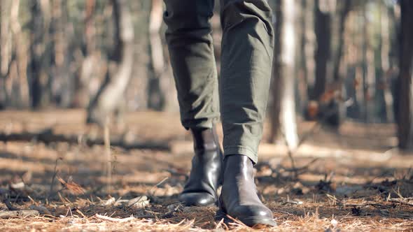 Man Walking In Forest.Man Legs On Dry Wood.Man Legs Walking On Autumn Forest.Cold Autumn Wood.