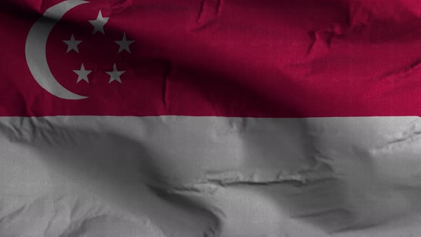 Singapore Flag Textured Waving Background 4K