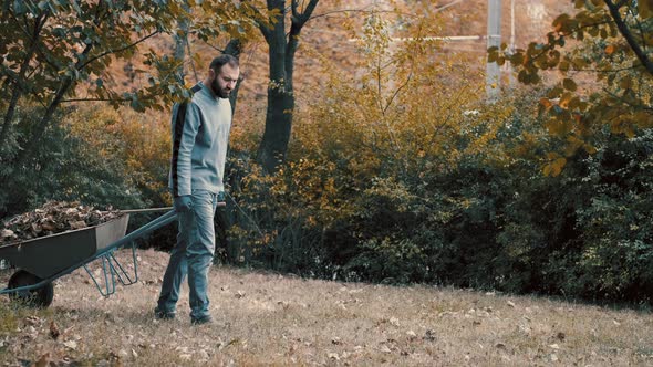 Garden Worker Pushing a Wheelbarrow Filled with Dry Leaves and Tree Branches To the Trashcan To