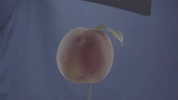 Peach Rotating with Loop on Blue Screen for Chroma Key