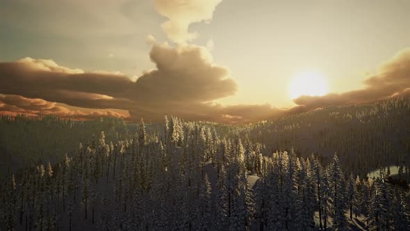 Fantastic Evening Winter Landscape alt