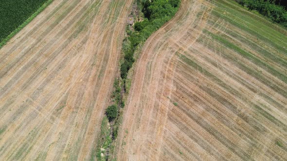 Drone view of country road, river and fields, Cellarengo, Italy