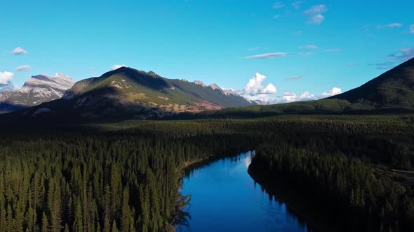 River trough forest in the mountains