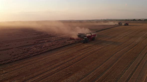 Aerial shot: combine pouring harvested wheat into tractor tipper