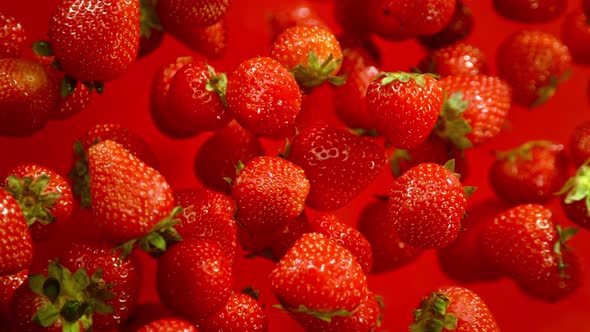 Super Slow Motion Shot of Fresh Strawberries on Red Background Flying Towards Camera at 1000Fps