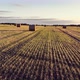 Wheat Straw in Cylindrical Bales of Hay Spread Out on a Sloping Field and Blue Sky with Clouds - VideoHive Item for Sale