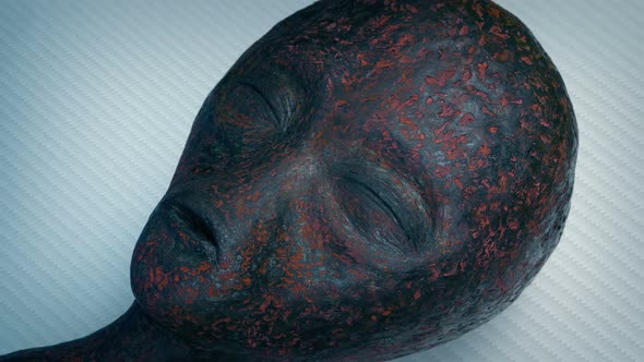 Burned Alien Corpse Uncovered And Covered Up In Laboratory