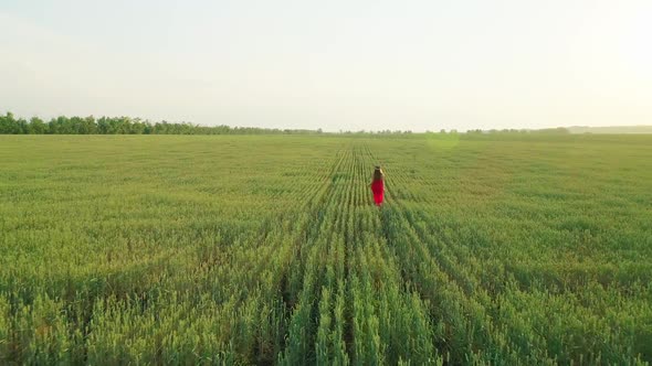 Aerial Video of a Girl in a Red Dress in a Wheat Field at Sunset