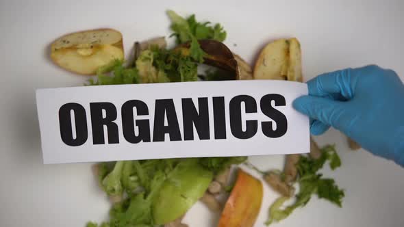 Organics Word Put on Biodegradable Waste Lying on Table, Alternative Gas Source