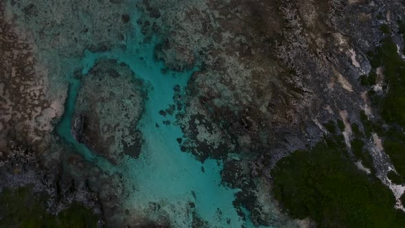 Aerial video of a girl exploring a tropical coral reef while snorkelling