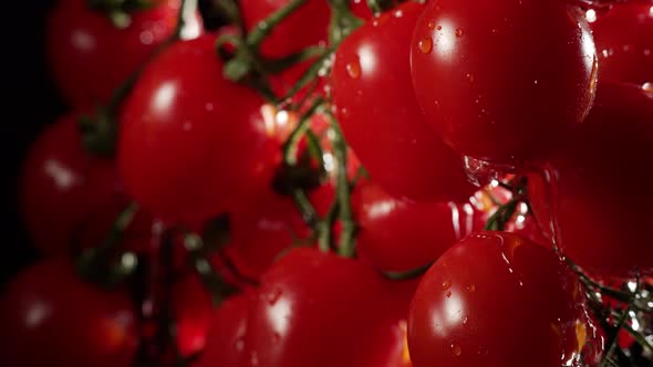 Cherry Tomatoes with Water Splash at a Dark Background