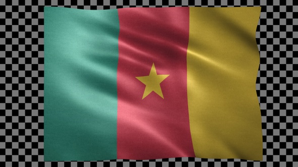 Cameroon Waving Flag Looped