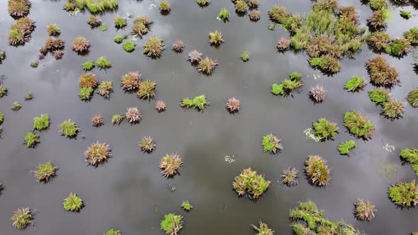 Aerial view reflection at the lake at wetland