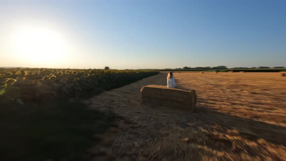 Dynamic Drone Shot Over Endless Fields with Blooming Sunflowers