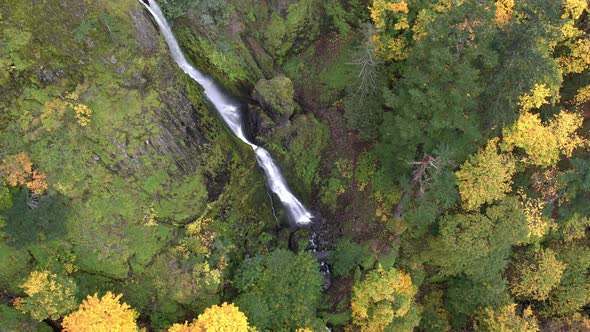 Aerial view of trees and waterfall