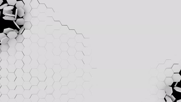 Hexa Wall Transition alt