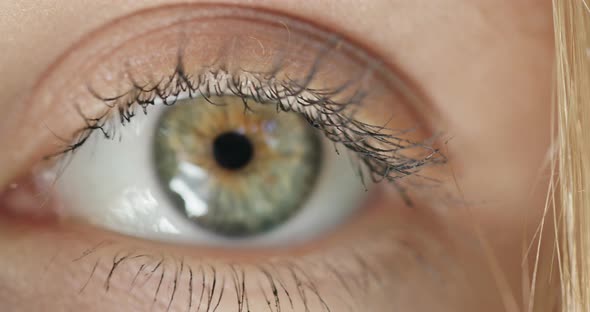 Close Up on the Green Eye of a Young Blond Woman Wearing Mascara on Her Eyelashes Zooming