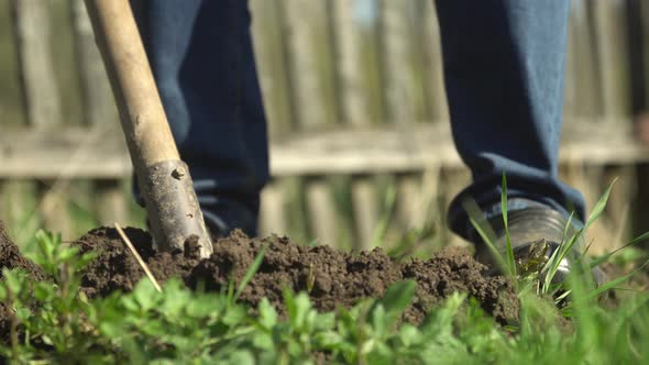 Man in Rubber Boots Dig Garden Bed on a Household Plot