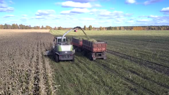 Flycam Follows Combine Pouring Corn Foliage Into Trailer