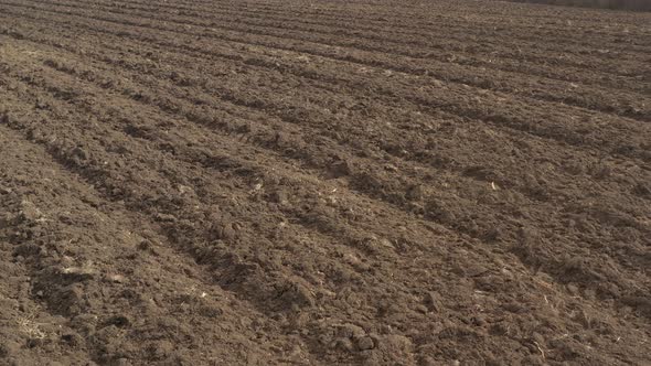 Ploughed earth by early spring 4K aerial video