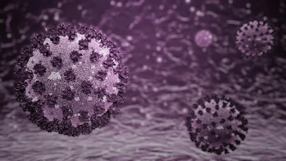 Realistic 3D of the Coronavirus 2019