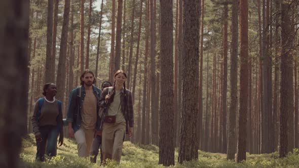 Multiethnic Friends Walking in Forest