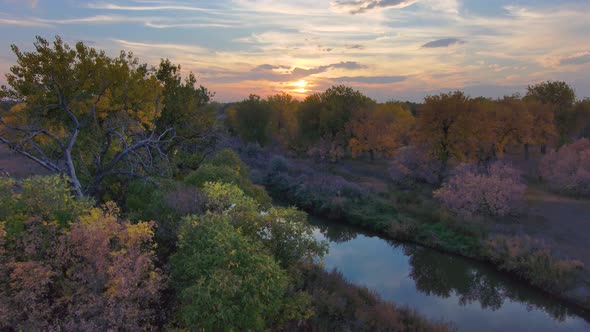 Fall leaves along the Platte river in Colorado during a vivid sunset.