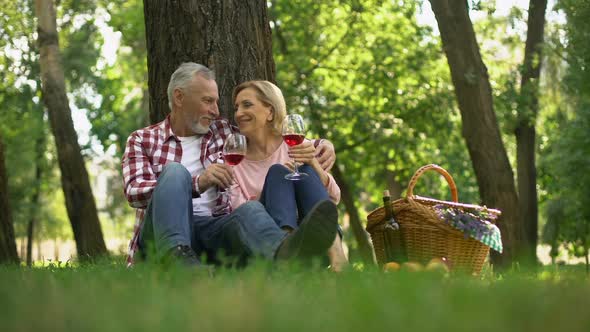 Romantic Date of Senior Couple Sitting on Grass and Drinking Wine, Anniversary