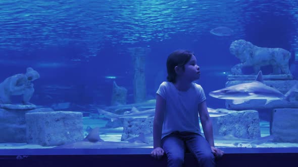 Cute Girl Watching Fishes in a Large Aquarium