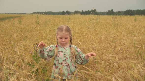 Child in a Wheat Field