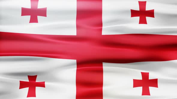 Georgia Flag Waving