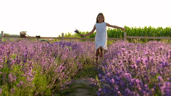 A Child in a Lavender Field