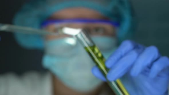 Lab Biochemist Dripping Oil Into Test Tube With Plant, Organic Cosmetology Study