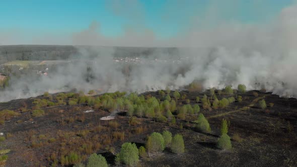Russia an Objective Picture of a Forest Fire