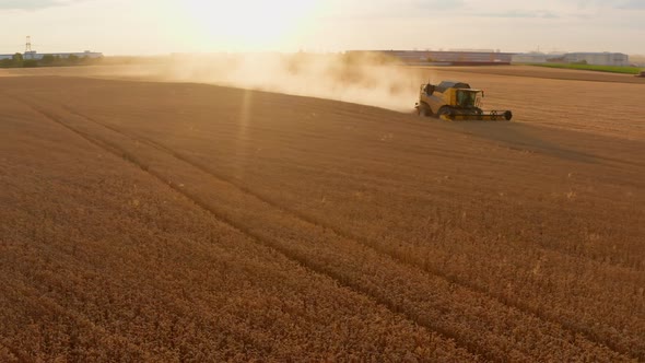 Combine Wheat Aerial Sunset Agriculture Harvesting