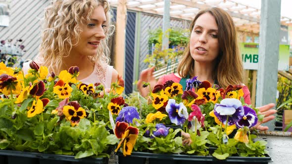 Female florist interacting with a customer