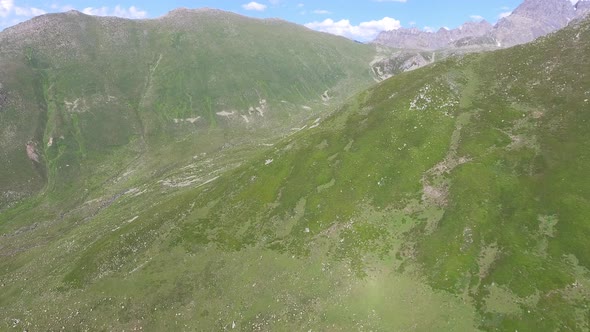 Alpine Tundra Meadows in High Altitude Topography