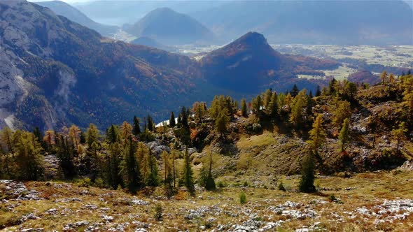 Beautiful Autumn Landscape in the Mountains