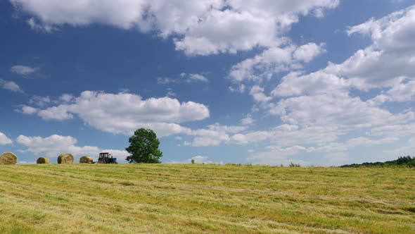 Harvesting feed for farm animals