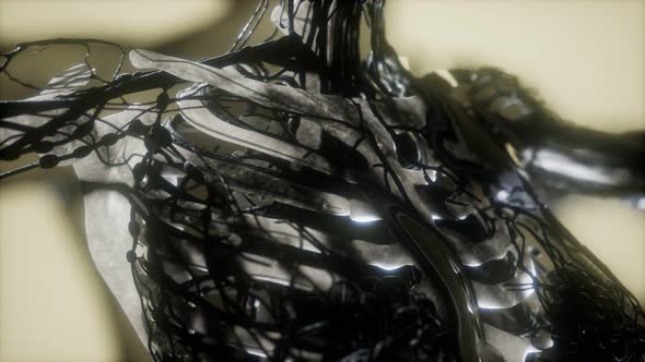 Human Skeleton Bones Scan Glowing alt