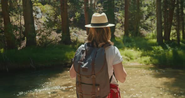 Slow Motion: Young Woman Hiking in Forest in Warm Autumn Day. Active Woman