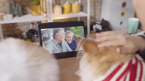 video calling asian female woman hand gesture and greeting to grandparent